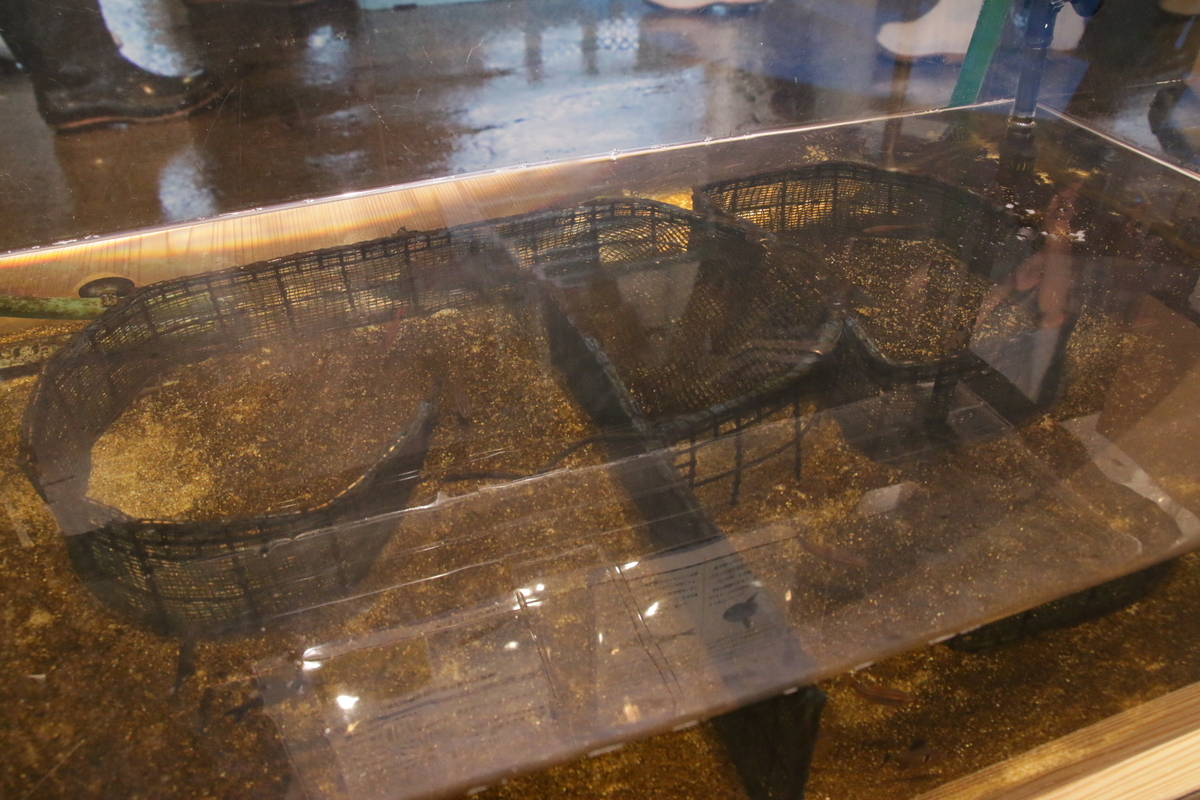 f:id:hms_ulysses:20190926093906j:plain