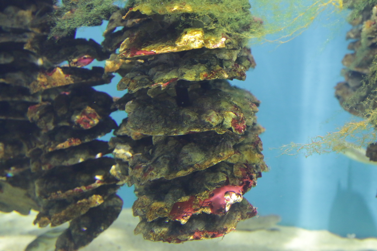 f:id:hms_ulysses:20190926094059j:plain