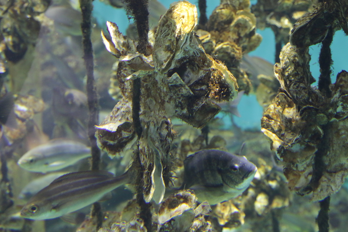 f:id:hms_ulysses:20190926094133j:plain