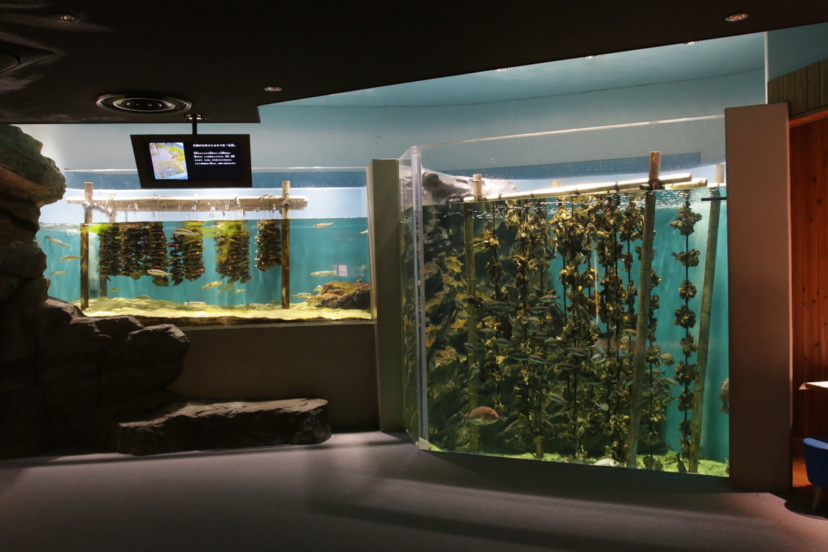 f:id:hms_ulysses:20190926094200j:plain