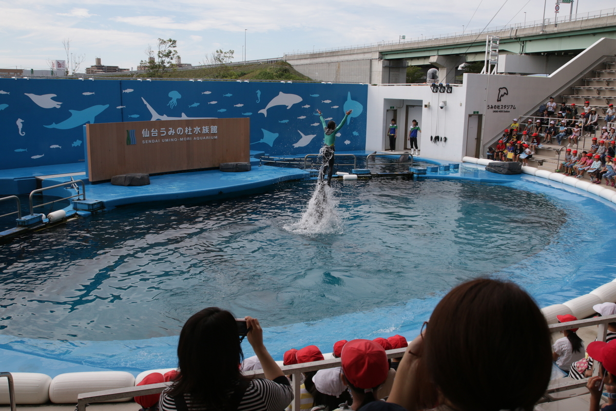 f:id:hms_ulysses:20190926100705j:plain