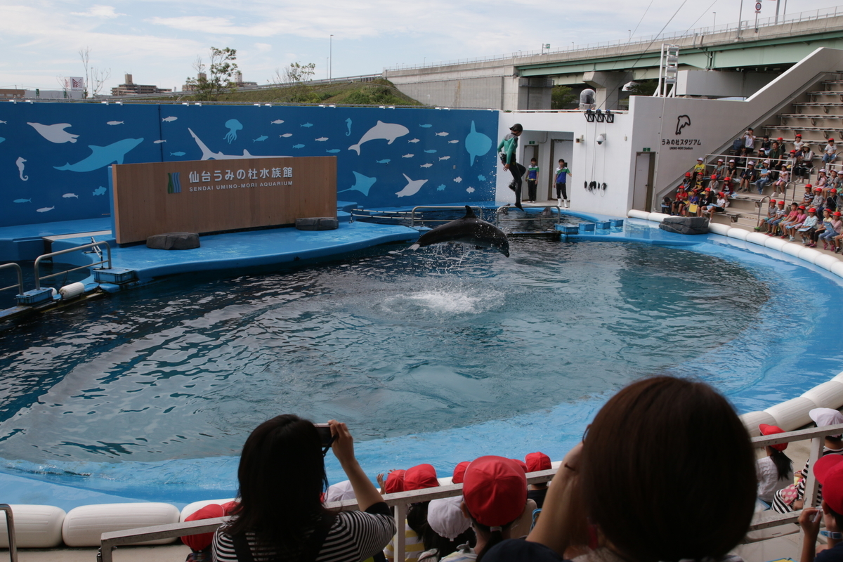 f:id:hms_ulysses:20190926100710j:plain