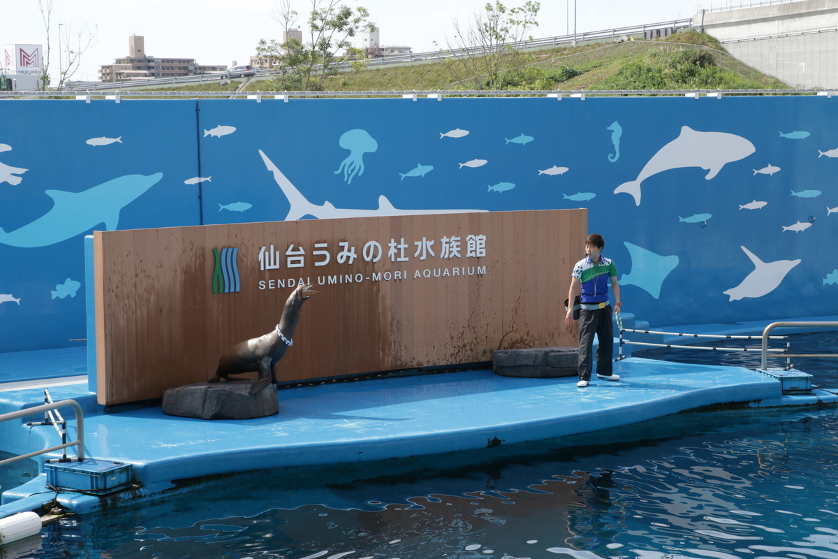 f:id:hms_ulysses:20190926101842j:plain
