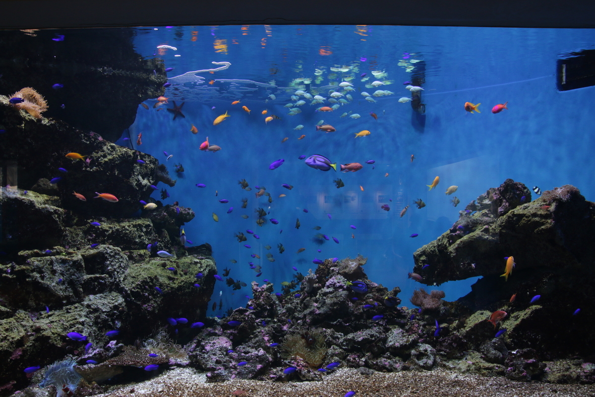 f:id:hms_ulysses:20190926113848j:plain