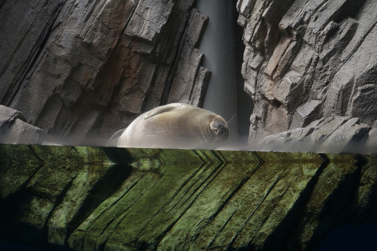 f:id:hms_ulysses:20190926114434j:plain