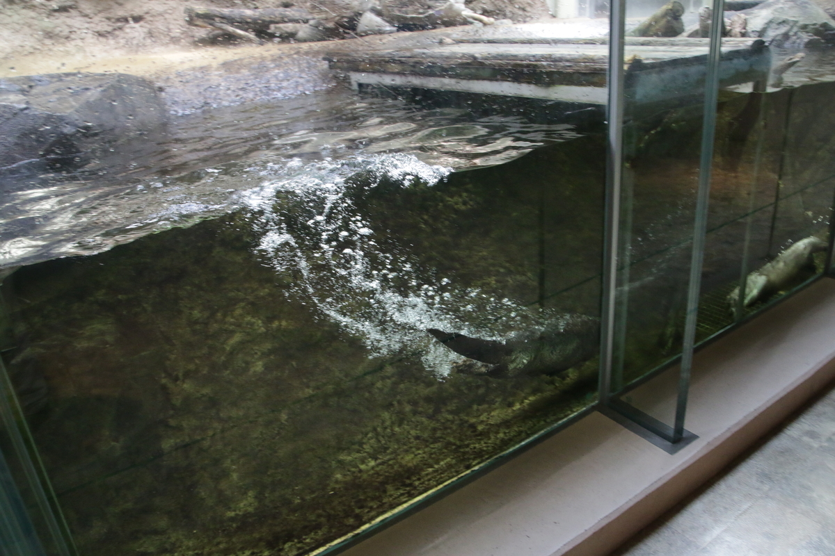 f:id:hms_ulysses:20190926115509j:plain