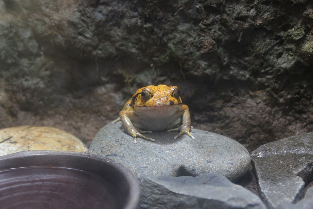 f:id:hms_ulysses:20190926115824j:image:w360