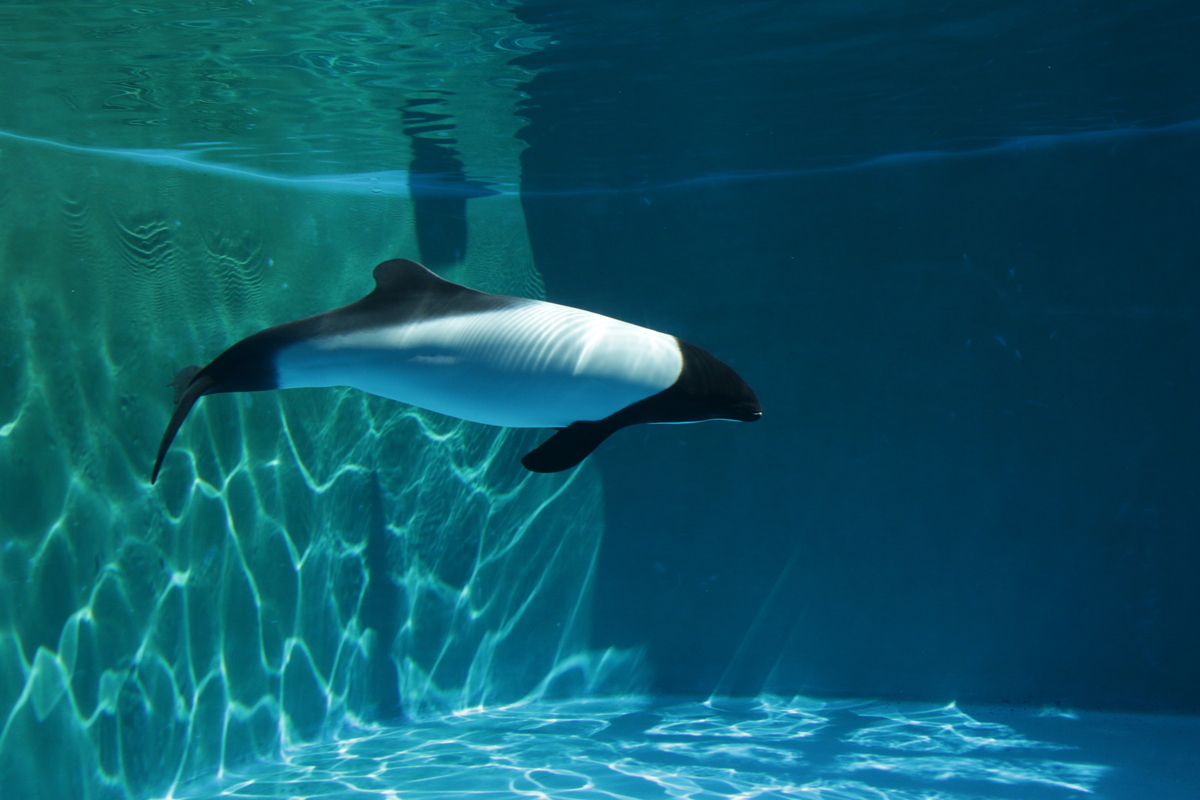 f:id:hms_ulysses:20190926120506j:plain