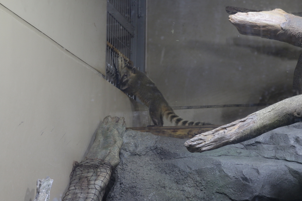 f:id:hms_ulysses:20190926120813j:plain