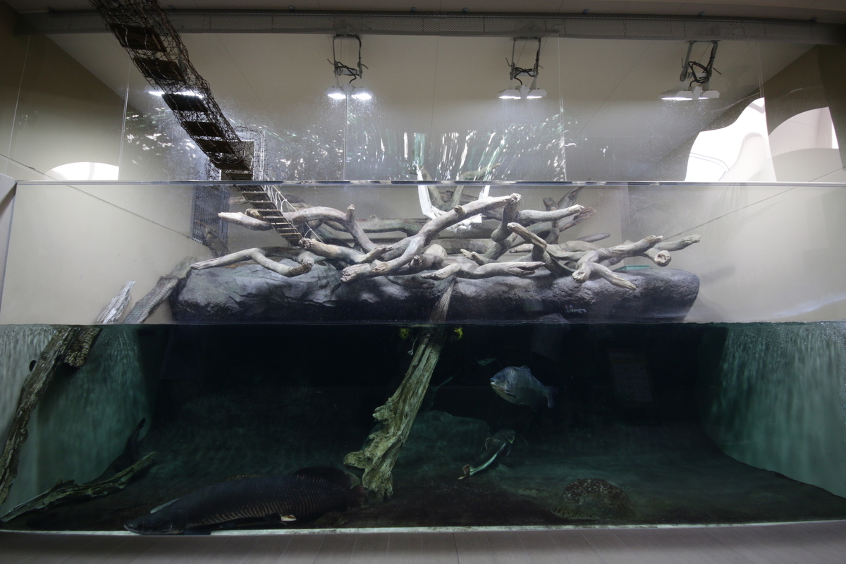 f:id:hms_ulysses:20190926121224j:plain