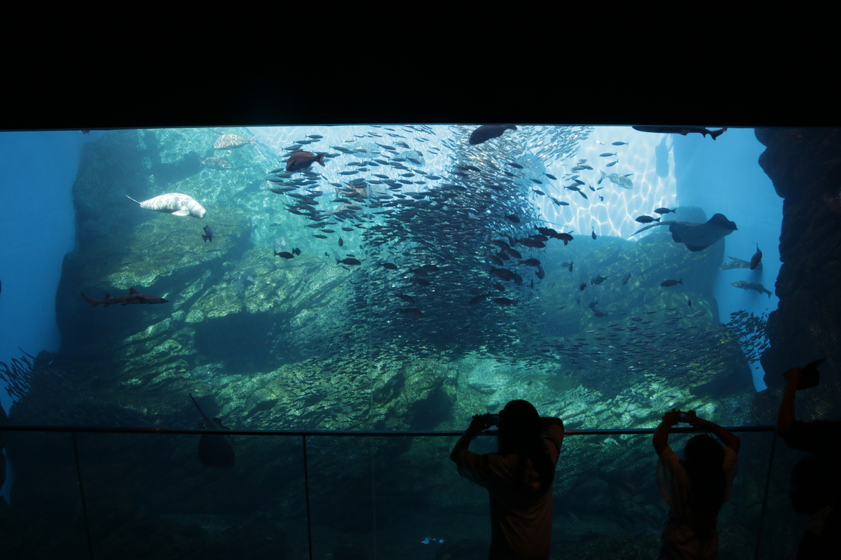 f:id:hms_ulysses:20190926121652j:plain