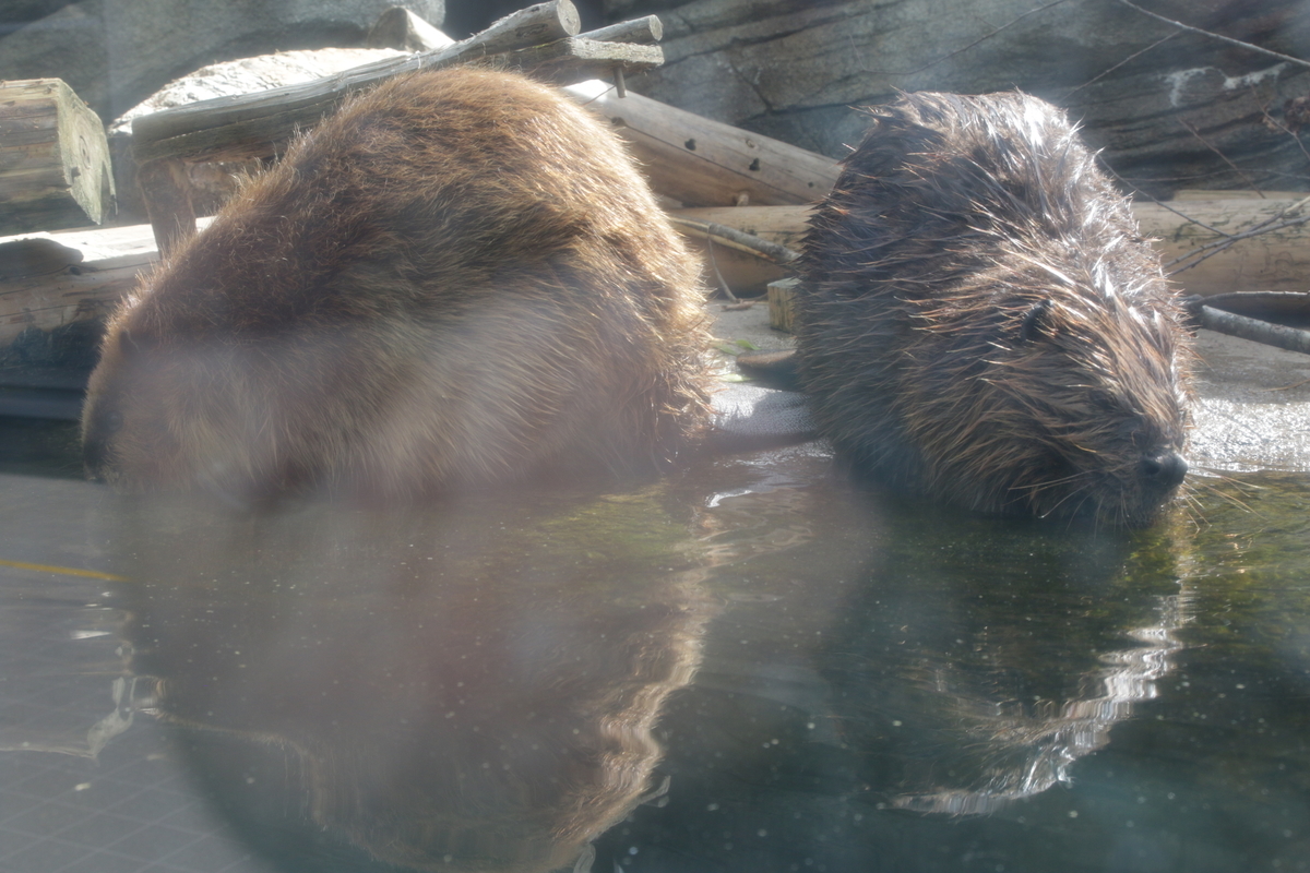 f:id:hms_ulysses:20190926122407j:plain