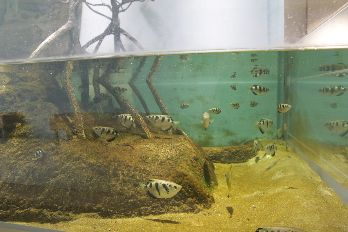 f:id:hms_ulysses:20190926122953j:plain