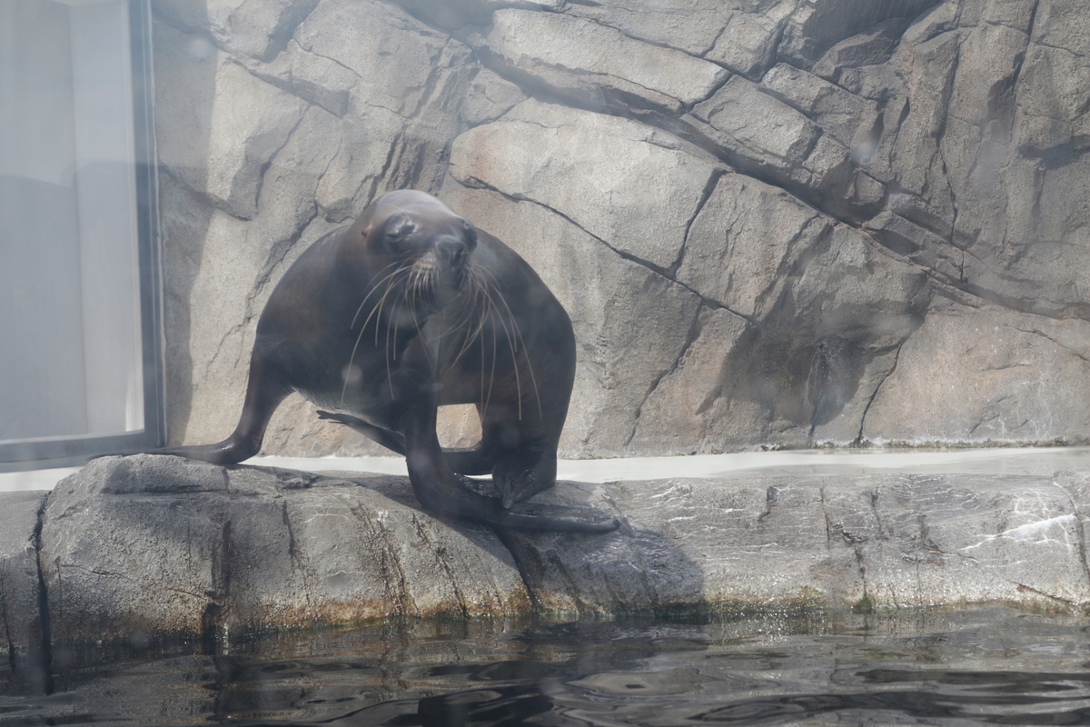 f:id:hms_ulysses:20190926124945j:plain