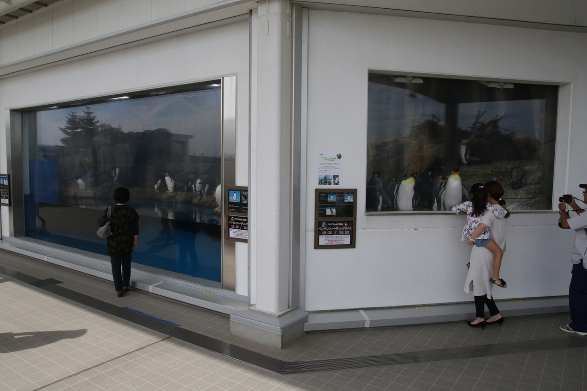 f:id:hms_ulysses:20190926125217j:plain