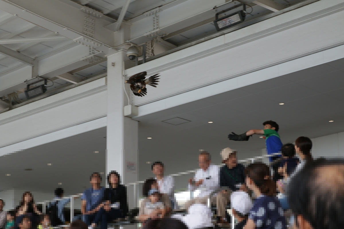 f:id:hms_ulysses:20191204202814j:plain