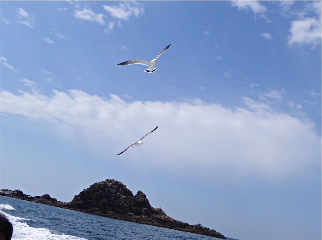 f:id:hmsko:20160429231919j:image f:id:hmsko:20160429231919j:image