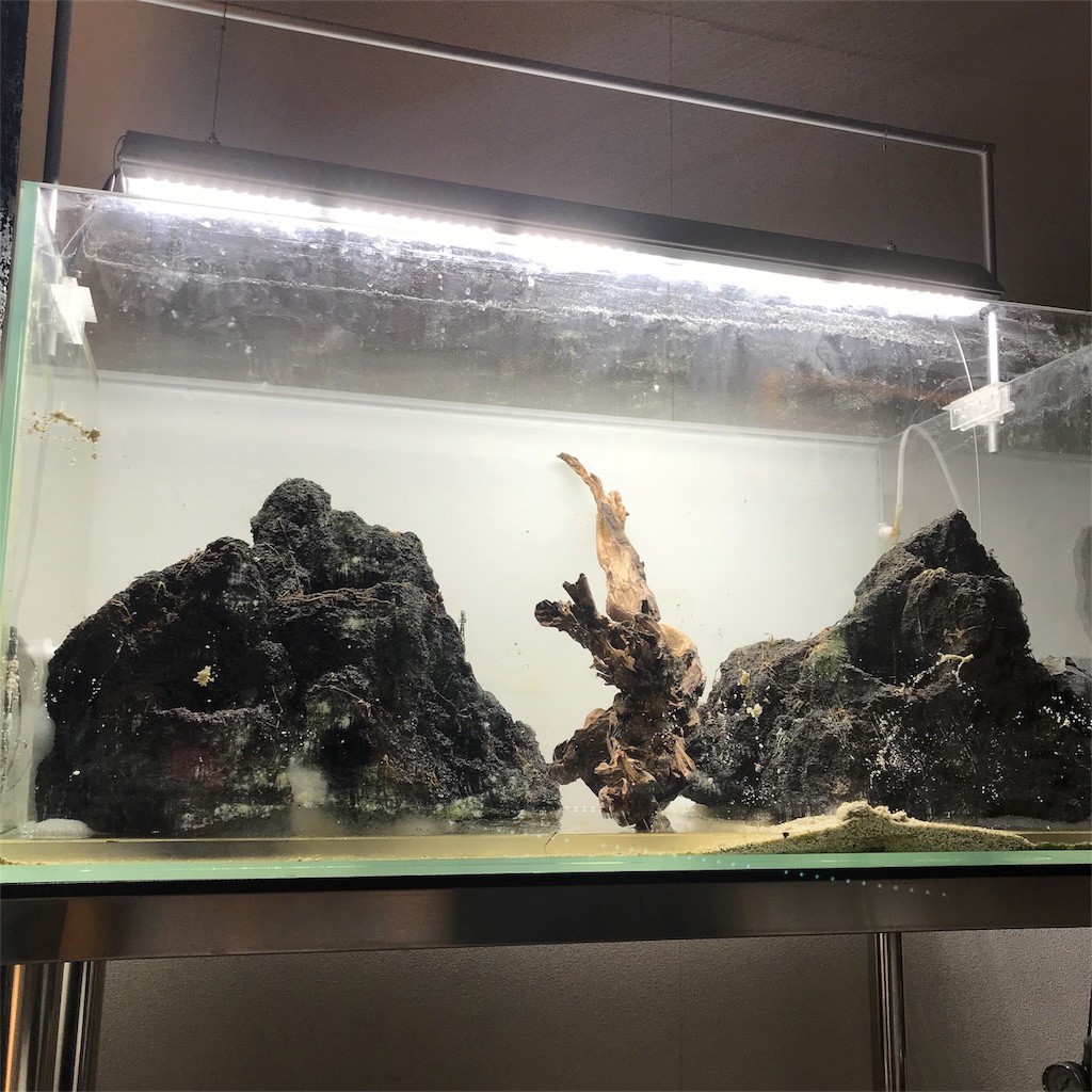 f:id:hnakane301292:20180722143234j:image