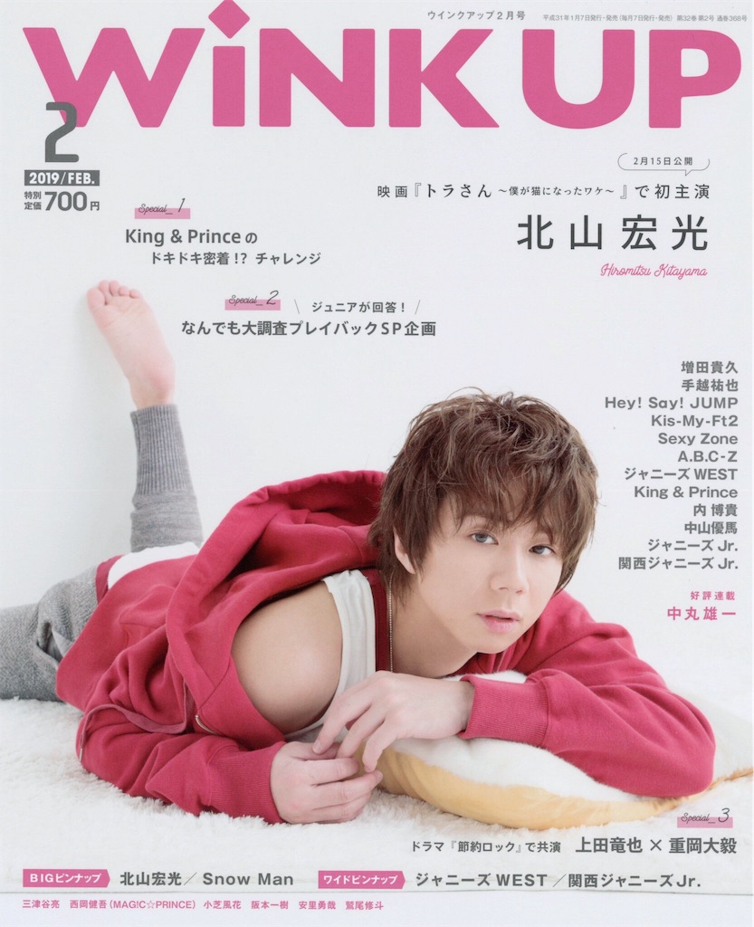 f:id:hncoo:20190304190511j:image