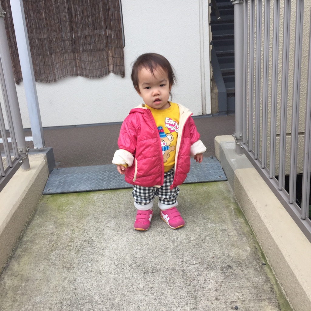 f:id:hnhnhnchan:20161025203935j:image f:id:hnhnhnchan:20161025203935j:image