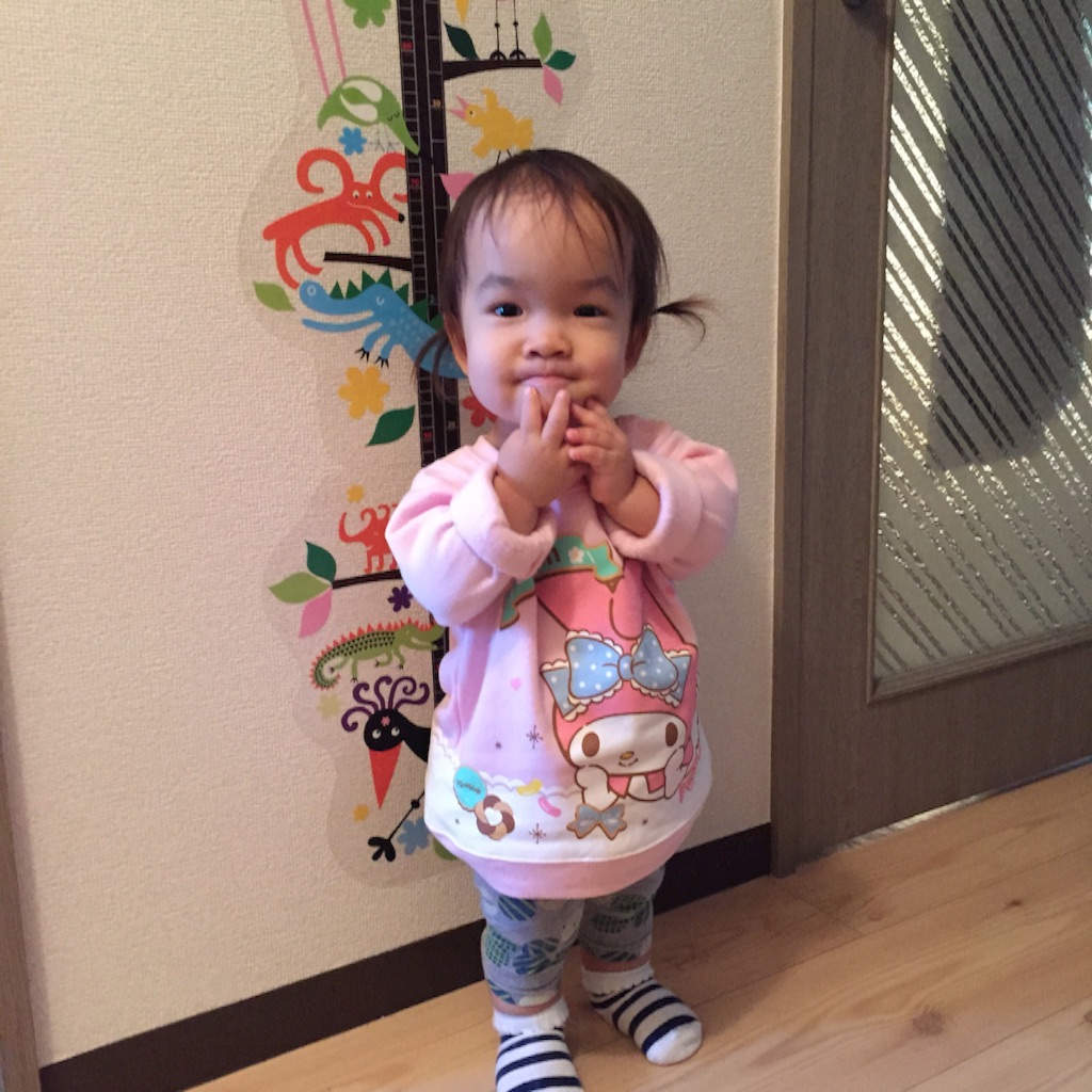 f:id:hnhnhnchan:20161115154942j:image f:id:hnhnhnchan:20161115154942j:image