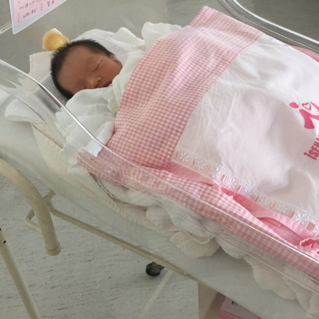 f:id:hnhnhnchan:20161218194509j:image f:id:hnhnhnchan:20161218194509j:image