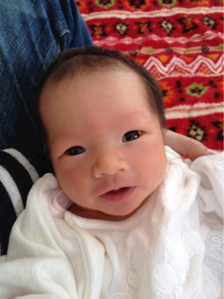 f:id:hnhnhnchan:20161223205422j:image f:id:hnhnhnchan:20161223205422j:image