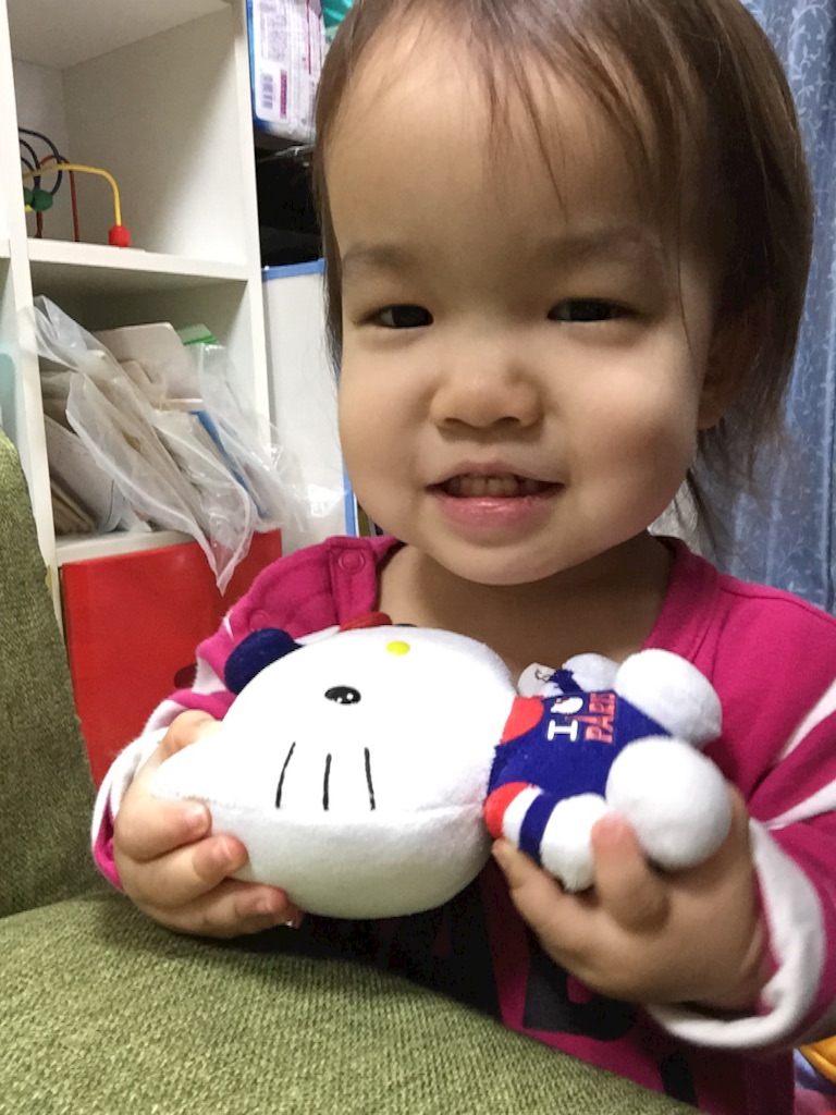 f:id:hnhnhnchan:20170205181509j:image f:id:hnhnhnchan:20170205181509j:image
