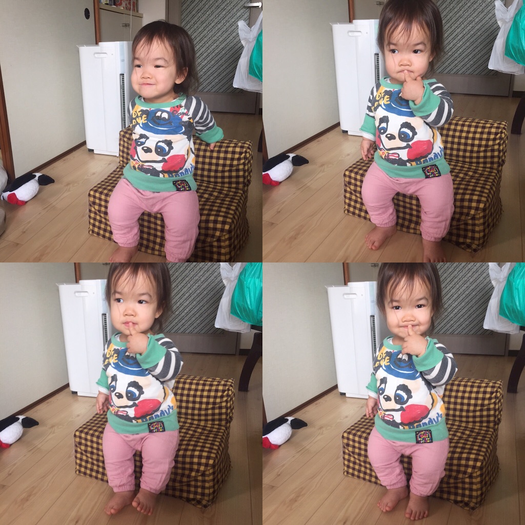 f:id:hnhnhnchan:20170225230906j:image f:id:hnhnhnchan:20170225230906j:image