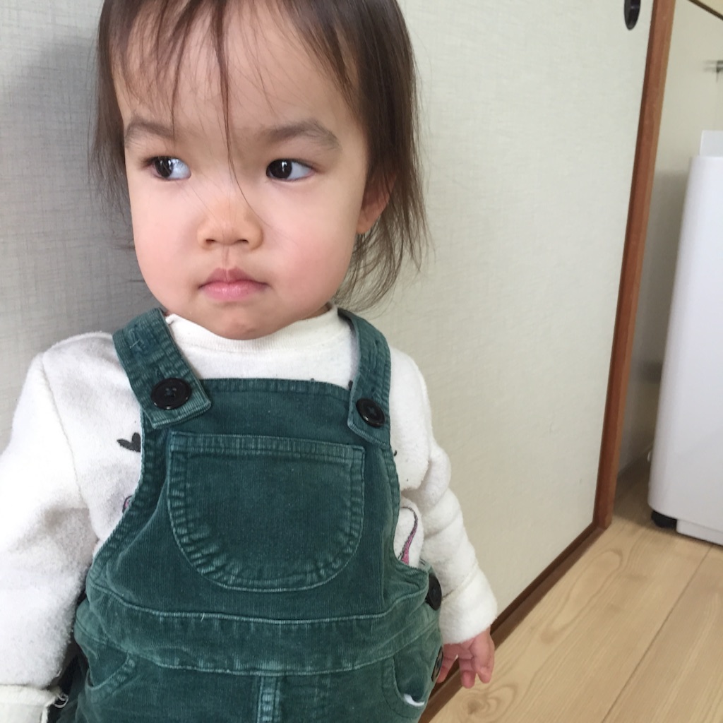 f:id:hnhnhnchan:20170319222134j:image f:id:hnhnhnchan:20170319222134j:image