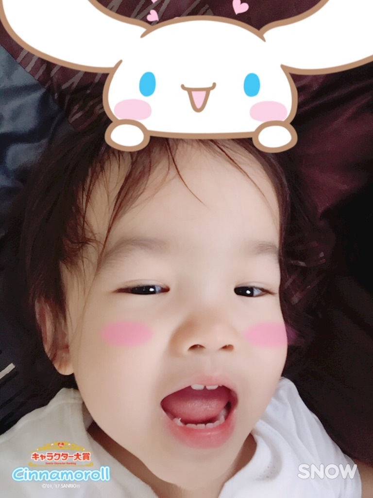 f:id:hnhnhnchan:20170518221328j:image f:id:hnhnhnchan:20170518221328j:image
