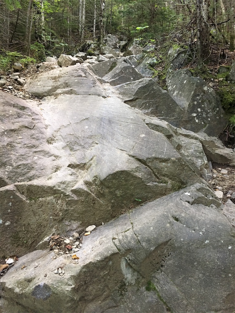 f:id:hnishide:20180911210935j:image f:id:hnishide:20180911210935j:image
