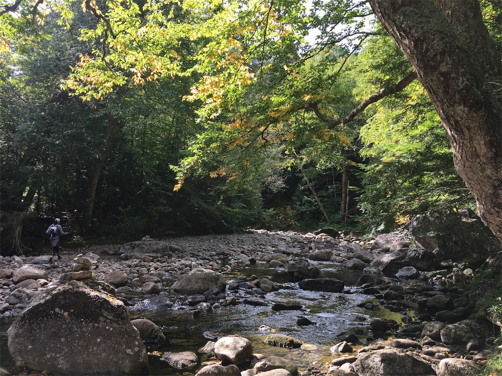 f:id:hnishide:20180918204753j:image f:id:hnishide:20180918204753j:image