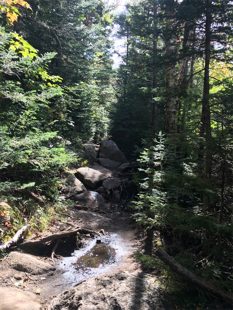 f:id:hnishide:20180920075500j:image f:id:hnishide:20180920075500j:image