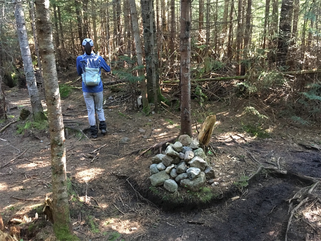 f:id:hnishide:20190626100954j:image f:id:hnishide:20190626100954j:image