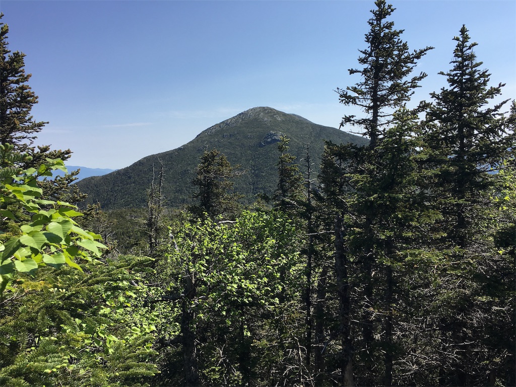 f:id:hnishide:20190626102421j:image f:id:hnishide:20190626102421j:image