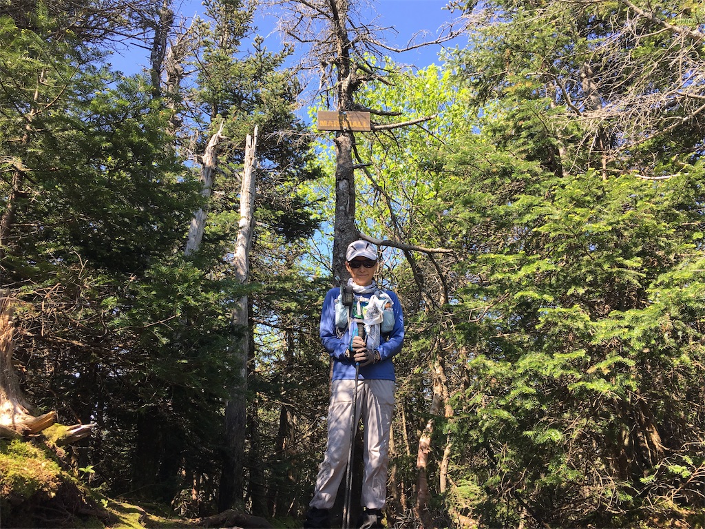 f:id:hnishide:20190626102431j:image f:id:hnishide:20190626102431j:image