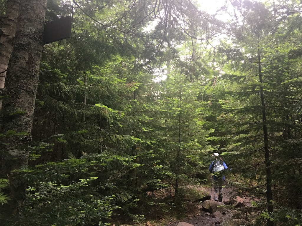 f:id:hnishide:20190705055522j:image f:id:hnishide:20190705055522j:image