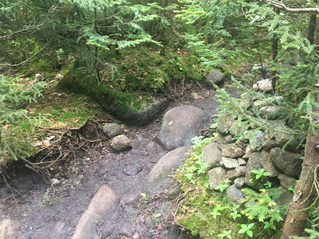 f:id:hnishide:20190705055713j:image f:id:hnishide:20190705055713j:image