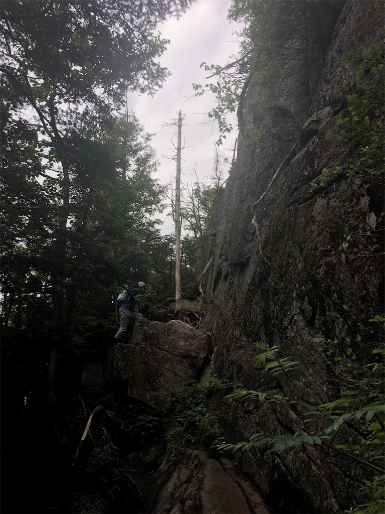 f:id:hnishide:20190705061346j:image f:id:hnishide:20190705061346j:image