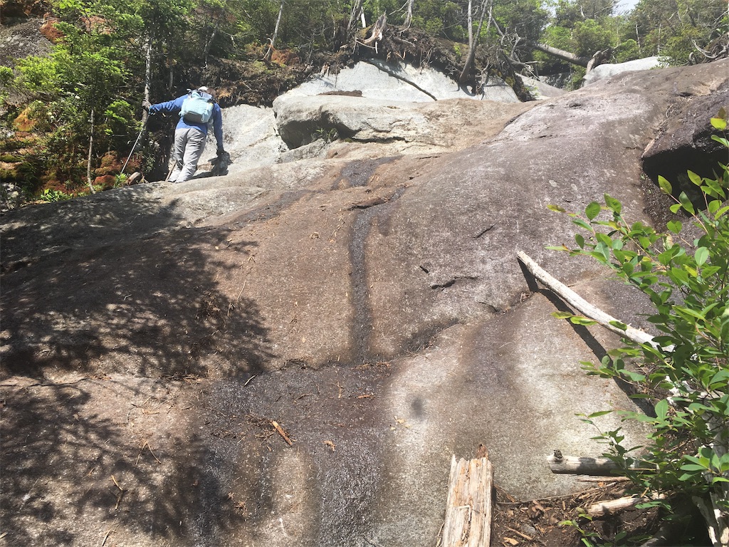 f:id:hnishide:20190705062036j:image f:id:hnishide:20190705062036j:image