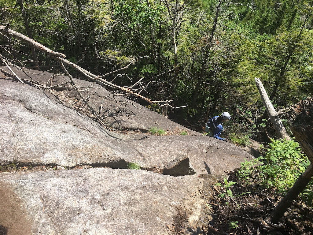 f:id:hnishide:20190705063817j:image f:id:hnishide:20190705063817j:image