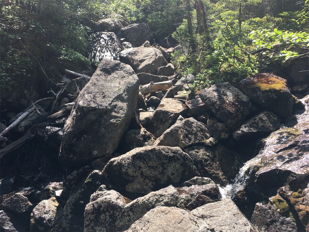 f:id:hnishide:20190705064919j:image f:id:hnishide:20190705064919j:image