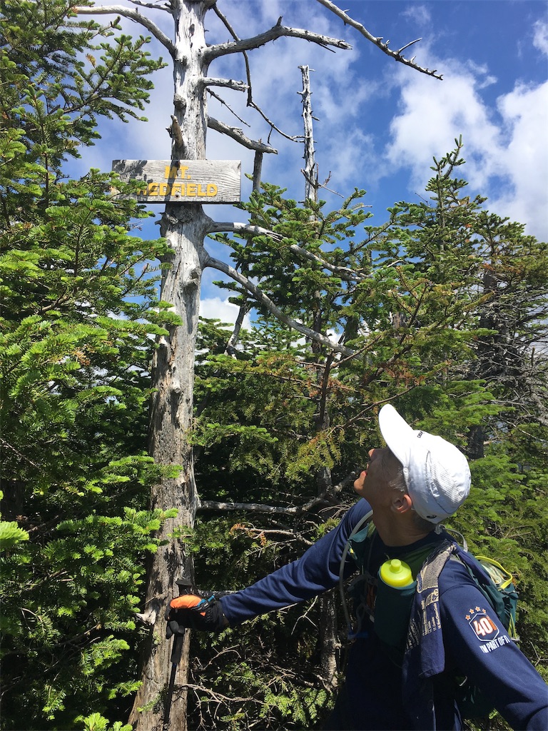 f:id:hnishide:20190705064923j:image f:id:hnishide:20190705064923j:image