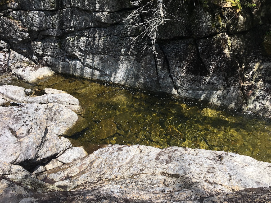 f:id:hnishide:20190705070416j:image f:id:hnishide:20190705070416j:image