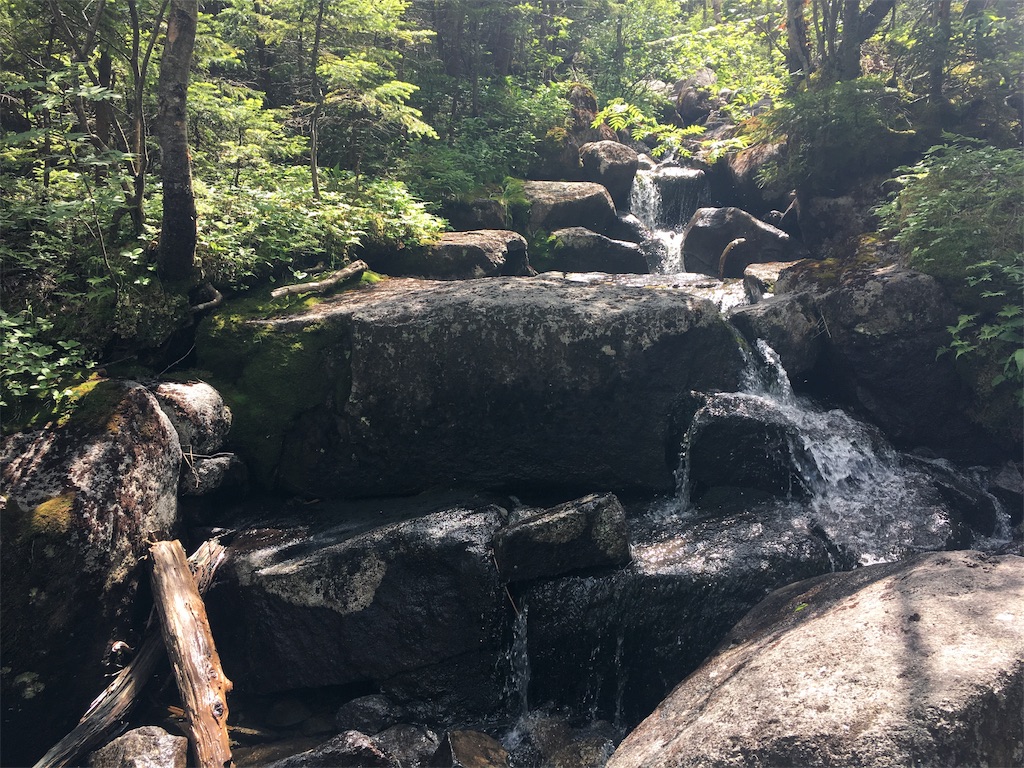 f:id:hnishide:20190705070440j:image f:id:hnishide:20190705070440j:image
