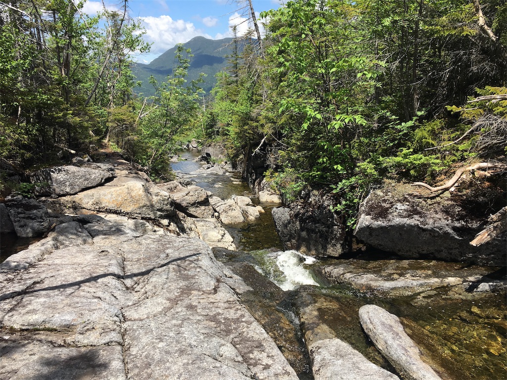f:id:hnishide:20190705070446j:image f:id:hnishide:20190705070446j:image
