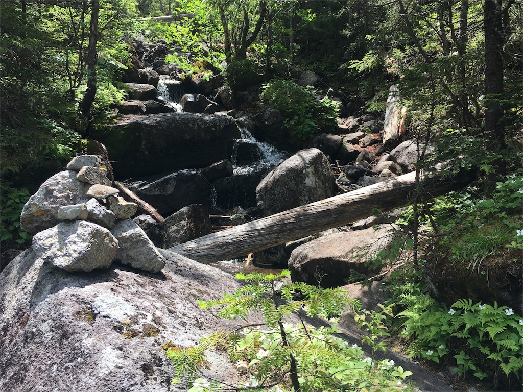 f:id:hnishide:20190705070813j:image f:id:hnishide:20190705070813j:image