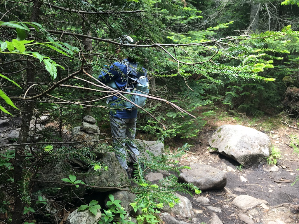 f:id:hnishide:20190705204455j:image f:id:hnishide:20190705204455j:image