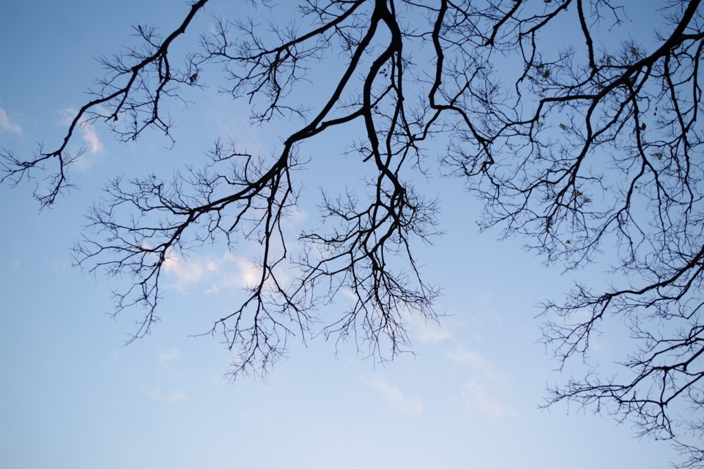 f:id:hnk0404:20180103005442j:plain f:id:hnk0404:20180103005442j:plain